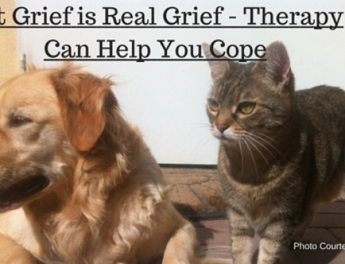 Pet Grief is Real Grief — Therapy can Help You Cope