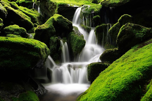 mossy waterfall