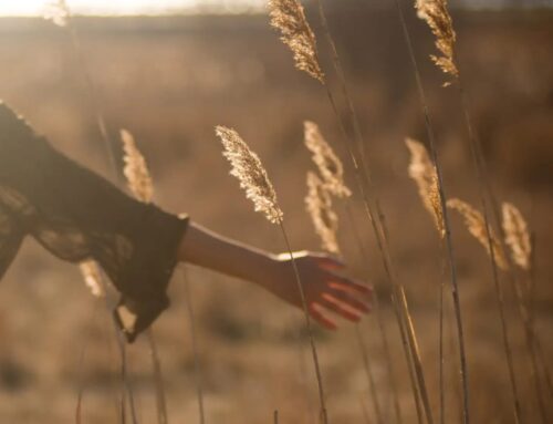 Grounding Techniques for PTSD