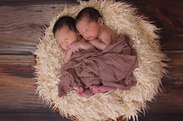 twins-in-nest